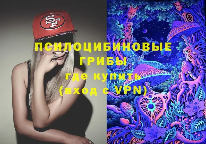 хочу наркоту  Лакинск  Галлюциногенные грибы Psilocybine cubensis 